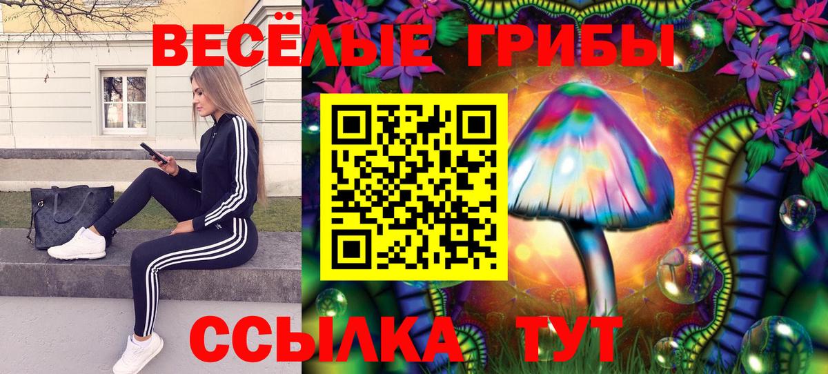 Псилоцибиновые грибы Magic Shrooms Екатеринбург